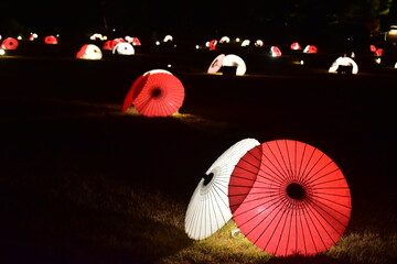 岡山　中国地方　後楽園　ライトアップ