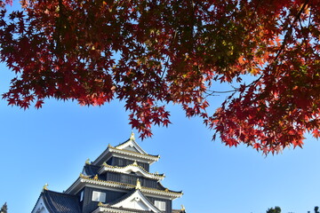 岡山城　城　岡山