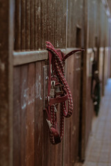 Red leather horse bridle hanging on a hook in a rustic stable, surrounded by wooden walls and soft natural lighting, showcasing equestrian equipment and stable ambiance
