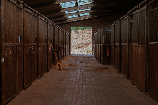 Interior view of a rustic stable with wooden stalls, sunlight streaming through the open door, and a broom resting on the floor, creating a serene equestrian atmosphere
