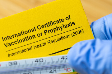 The doctor is reviewing the yellow vaccination booklet. The concept of health while traveling. Protective vaccinations, tropical diseases. Closeup. Vacations in the tropics