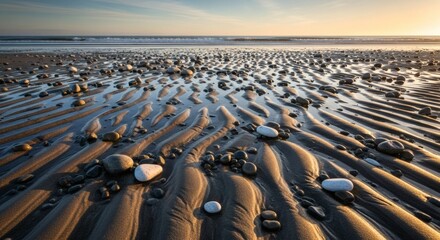 Fototapeta premium Low angle shot of a sandy beach with wet sand and scattered rocks, reflecting the soft light of the setting sun over the ocean