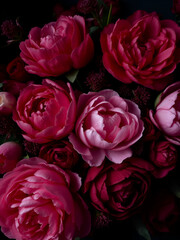 A lush arrangement of peonies and other flowers in moody, dark tones.  Deep reds and pale pinks contrast beautifully against the deep background. The image evokes a feeling of romance and mystery.