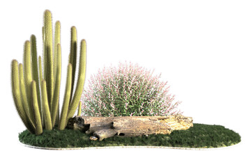 Desert scene with cacti shrub log and grass.