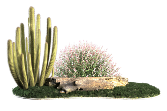 Desert scene with cacti shrub log and grass.