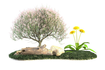 Scene depicts a pink willow tree a log yellow flowers.
