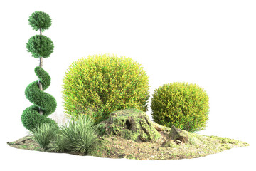 Garden featuring trimmed bushes grass and a twisted topiary tree.