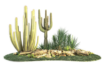 Cacti yucca rocks logs and grass arranged on a small hill.