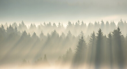 Fototapeta premium Minimalist misty forest at dawn soft pastel colors cinematic