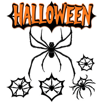 Vector realistic isolated black widow spider border for Halloween on the transparent background.