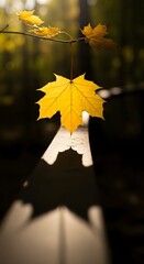 A vibrant yellow maple leaf hanging from a branch with sunlight filtering through in an autumn scene with a blurred background