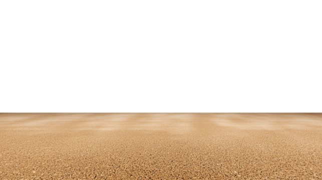 Expansive beach with fine light brown sand and open sky on transparent background