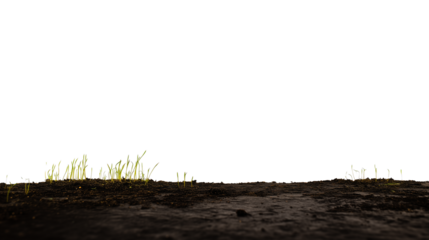 Freshly tilled field with young green plants emerging from dark soil on transparent background