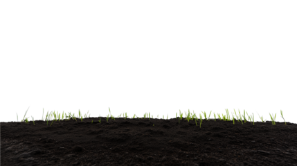 Close-up of freshly tilled soil with young grass sprouts on transparent background