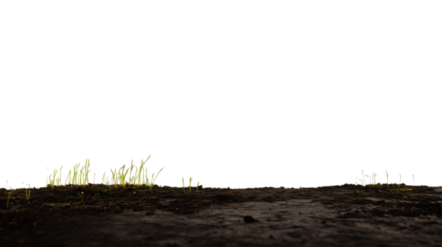 Freshly tilled field with young green plants emerging from dark soil on transparent background