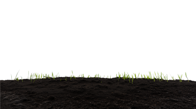 Close-up of freshly tilled soil with young grass sprouts on transparent background - Powered by Adobe