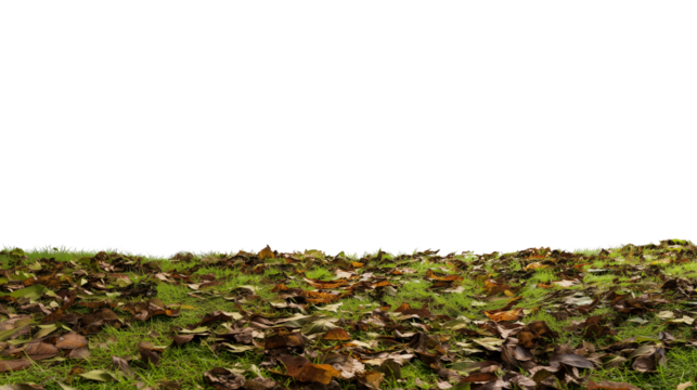Close-up of autumn leaves on green grass with transparent background
