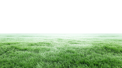 Expansive grassy field with vibrant green turf under natural daylight, transparent background