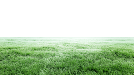 Expansive grassy field with vibrant green turf under natural daylight, transparent background