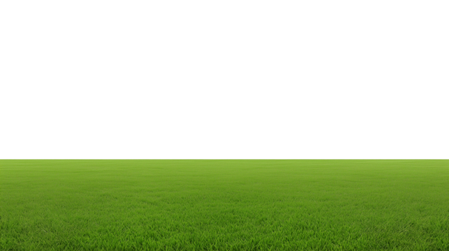 Expansive grassy field with horizon line and transparent background