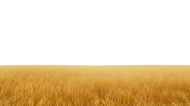 Golden wheat field in a serene landscape with a clear sky and transparent background