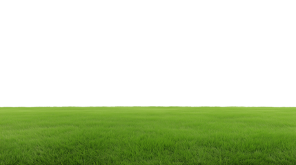 Expansive green field with clear horizon line and open sky, transparent background