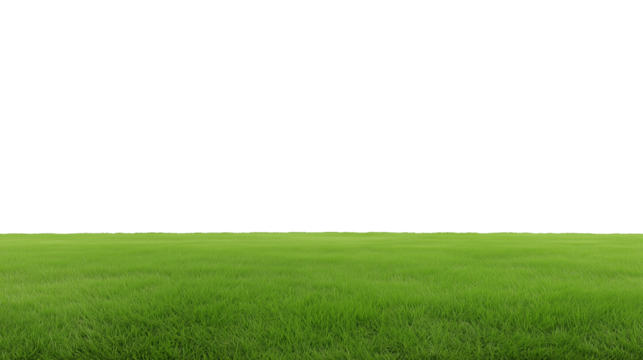 Expansive green field with clear horizon line and open sky, transparent background