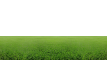 Vast green field with transparent background