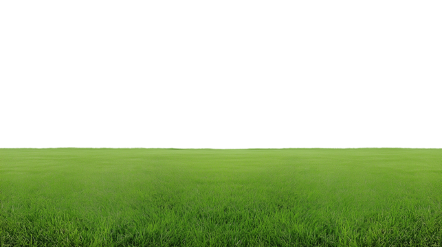 Vast green field with transparent background