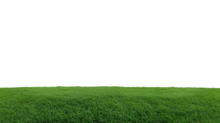 Vast grassy field with clear sky and horizon line on transparent background