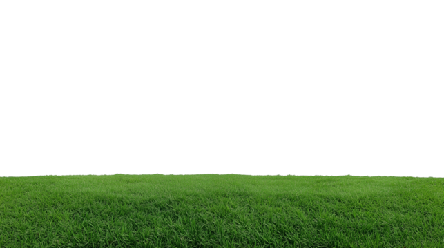 Vast grassy field with clear sky and horizon line on transparent background