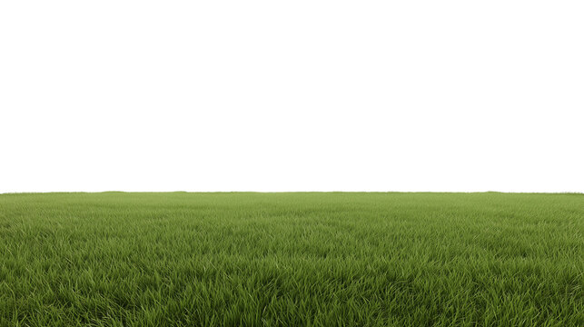 Expansive well-manicured grassy field under diffused natural daylight with a low-angle perspective