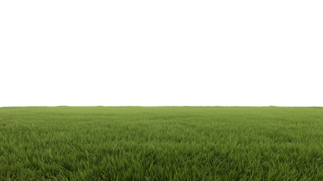 Expansive well-manicured grassy field under diffused natural daylight with a low-angle perspective