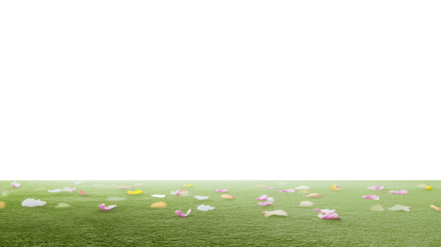 Lush green grassy field with scattered flower petals on transparent background