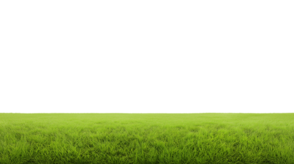 Vast grassy field with clear sky and horizon, transparent background