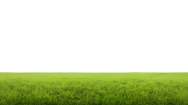 Vast grassy field with clear sky and horizon, transparent background