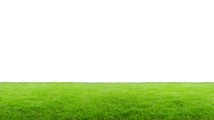 Expansive green grassy field with clear sky and transparent background
