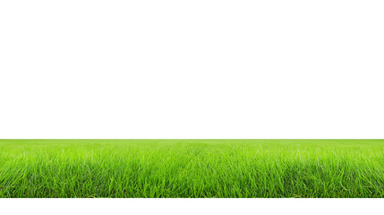 Expansive well-maintained grassy field under natural daylight with transparent background