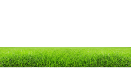 Expansive well-maintained grassy field under natural daylight with transparent background