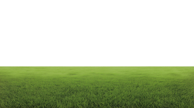 Wide grassy field with vibrant green blades and a distant horizon under a bright, cloudless sky