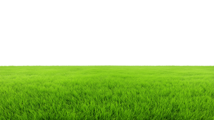Vast green grassy field with horizon under a clear sky, transparent background