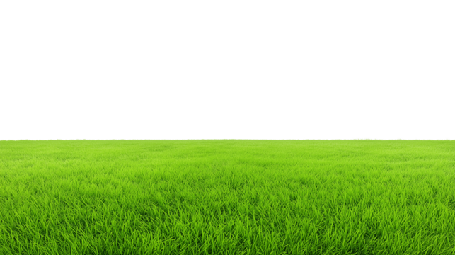 Vast green grassy field with horizon under a clear sky, transparent background