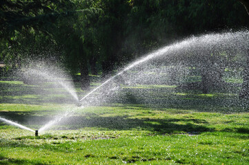 Irrigation systems spray water on the trees and grass of the park