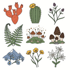 Botanical Illustration of Various Plants and Fungi.