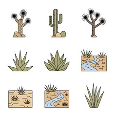 Desert Plants and Landscape Illustrations Collection.