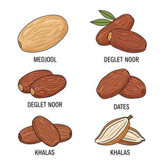 Different Types of Dates - Medjool, Deglet Noor, Khalas.