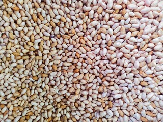 background and texture of a pile of raw peanuts