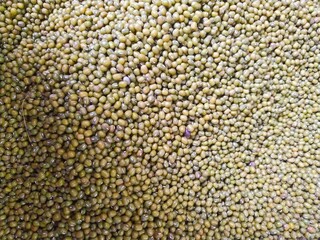 background and texture of a pile of raw green beans
