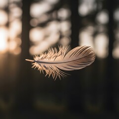 Close-up of a delicate feather floating in the air with a blurred natural background during sunset or sunrise