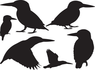 Fototapeta premium Solid black silhouette vector of Azure Kingfisher